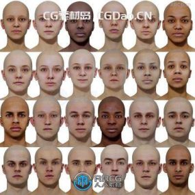 78组真实头部摄影测量捕捉扫描男性女性参考3D模型