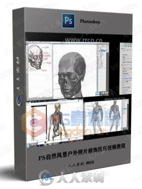 【中文发音】人体骨骼结构解剖初学者数字绘画训练视频教程
