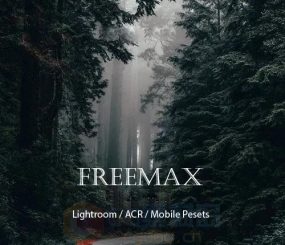 【LR预设】俄罗斯摄影师Freemax人文旅行黑金风格Lightroom ACR Mobile 预设