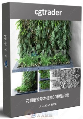 CGTrader模型系列-花园植被草木植物3D模型合集