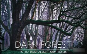 [LR预设]黑暗森林冷色调风景Lightroom预设