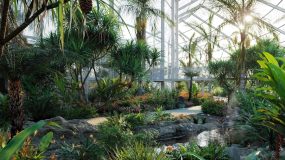 91组高精度热带花园景观设计灌木花草植物3D模型合集