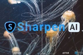 Topaz Sharpen AI图像智能锐化软件V3.2.0版