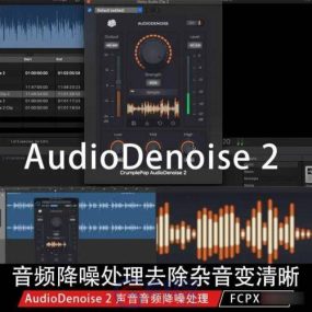 FCPX插件-音频降噪处理插件AudioDenoise 2.0.15中文汉化版 支持M1