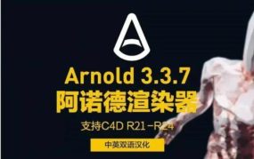 C4D插件阿诺德渲染器Arnold中文汉化版永久破解版3.3.7-2.6.0 含全套预设 支持Win+Mac 兼容各种C4D版本！！