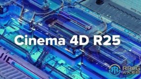 Cinema 4D Studio三维设计软件R25.117版