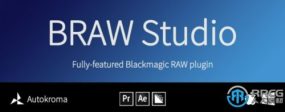 BRAW Studio Blackmagic RAW素材导入插件V2.5.0版