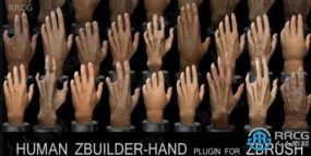 Human Zbuilder Hand人类手部模型制作工具Zbrush插件