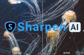 Topaz Sharpen AI图像智能锐化软件V4.1.0版