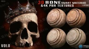 30组骨骼骨头4K高清智能PBR纹理材质贴图合集