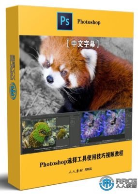 【中文字幕】Photoshop 2023选择工具使用技巧视频教程