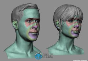 男性女性头部面部基础网格3D模型合集