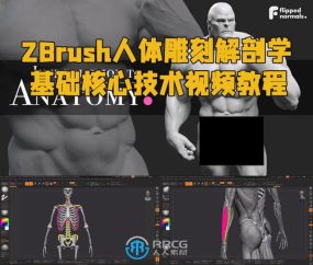 ZBrush人体雕刻解剖学基础核心技术视频教程