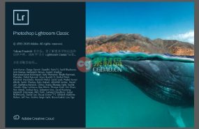 LR 2020 照片图像处理软件中文英文破解版 Lightroom Classic 9.0