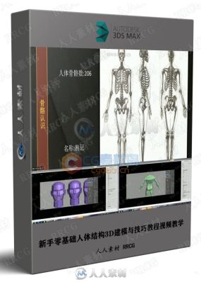 新手零基础人体结构3D建模与技巧教程视频教学