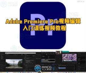 Adobe Premiere Pro视频编辑入门训练视频教程