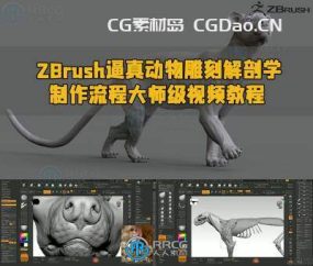 ZBrush逼真动物雕刻解剖学制作流程大师级视频教程
