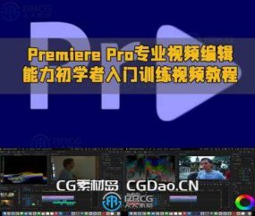 Premiere Pro专业视频编辑能力初学者入门训练视频教程