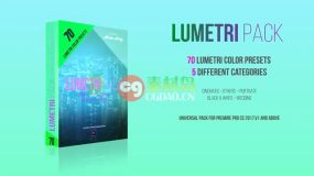 Premiere预设-Lumetri Color Presets Pack 70种超酷电影级白天黑夜调色PR预设