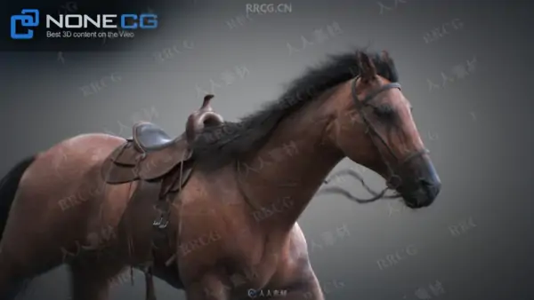 超逼真马匹骏马造型动画高精度3D模型
