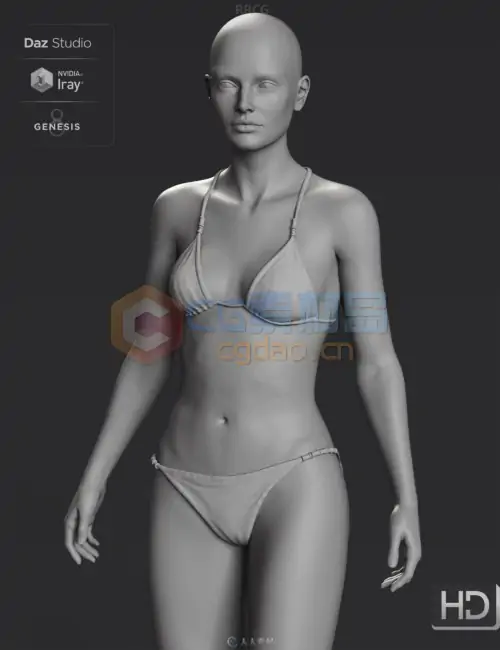 高清女性头部身体附加组件3D模型合集