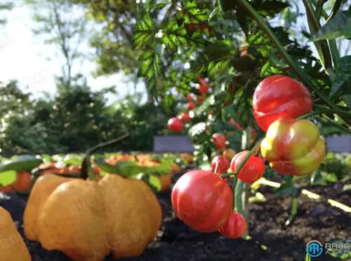 田地田园蔬菜水果胡萝卜西红柿草莓等植物3D模型合集