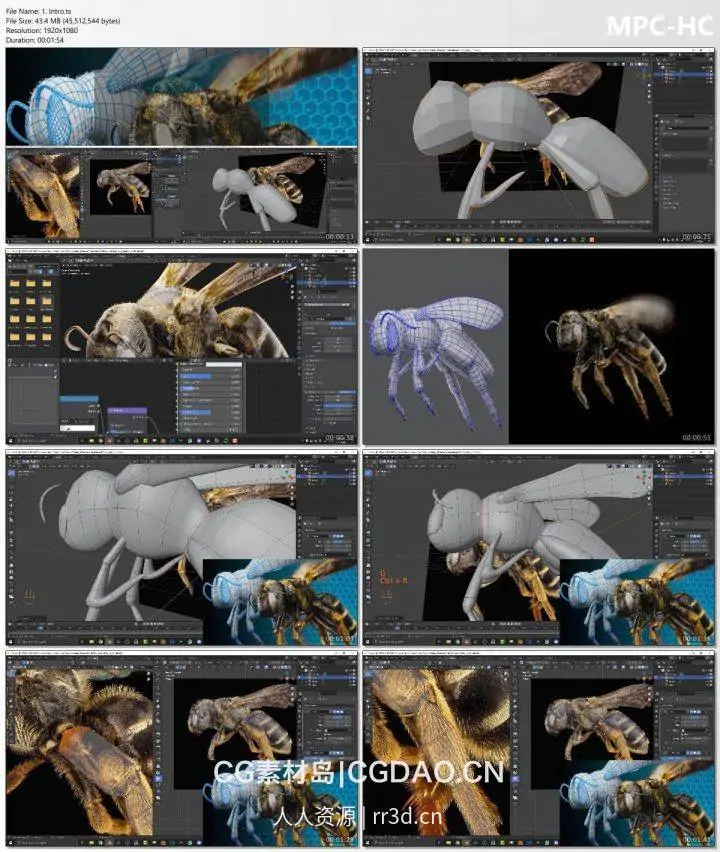 Blender蜜蜂2D照片转换成3D动画技术视频教程 -1