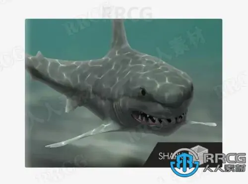 凶恶霸气大白鲨鱼类3D角色Unity游戏素材资源