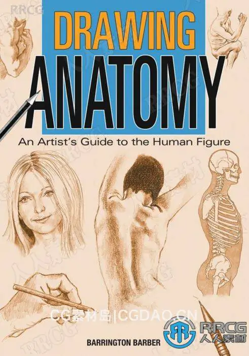 绘画解剖学--人体艺术指南书籍