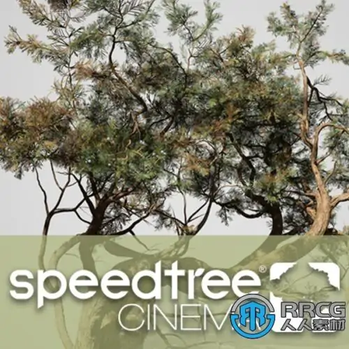 SpeedTree Modeler Cinema Edition树木植物实时建模软件V9.2.1