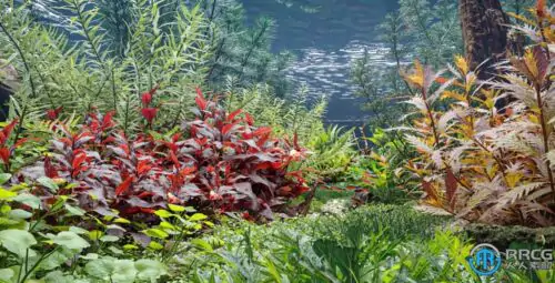 72组胭脂红天琴罗塔拉圆叶等植物3D模型合集