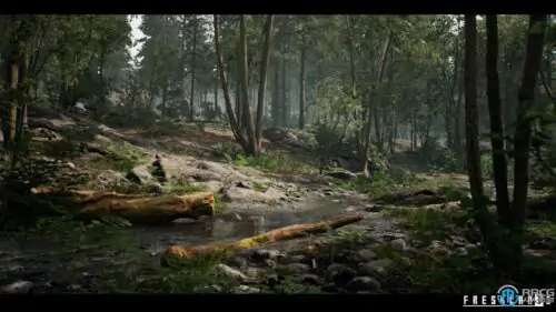 自然环境森林植物树木草地场景Unreal游戏素材