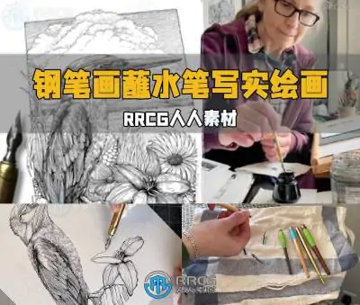 钢笔画蘸水笔写实绘画核心技术训练视频教程